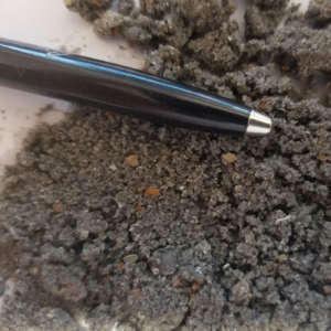 Comparing a pen to the sediment obtained during field work operations. 