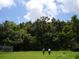 Area of operations in Puerto Rico.