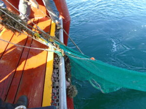 Bringing Trawl on to Boat