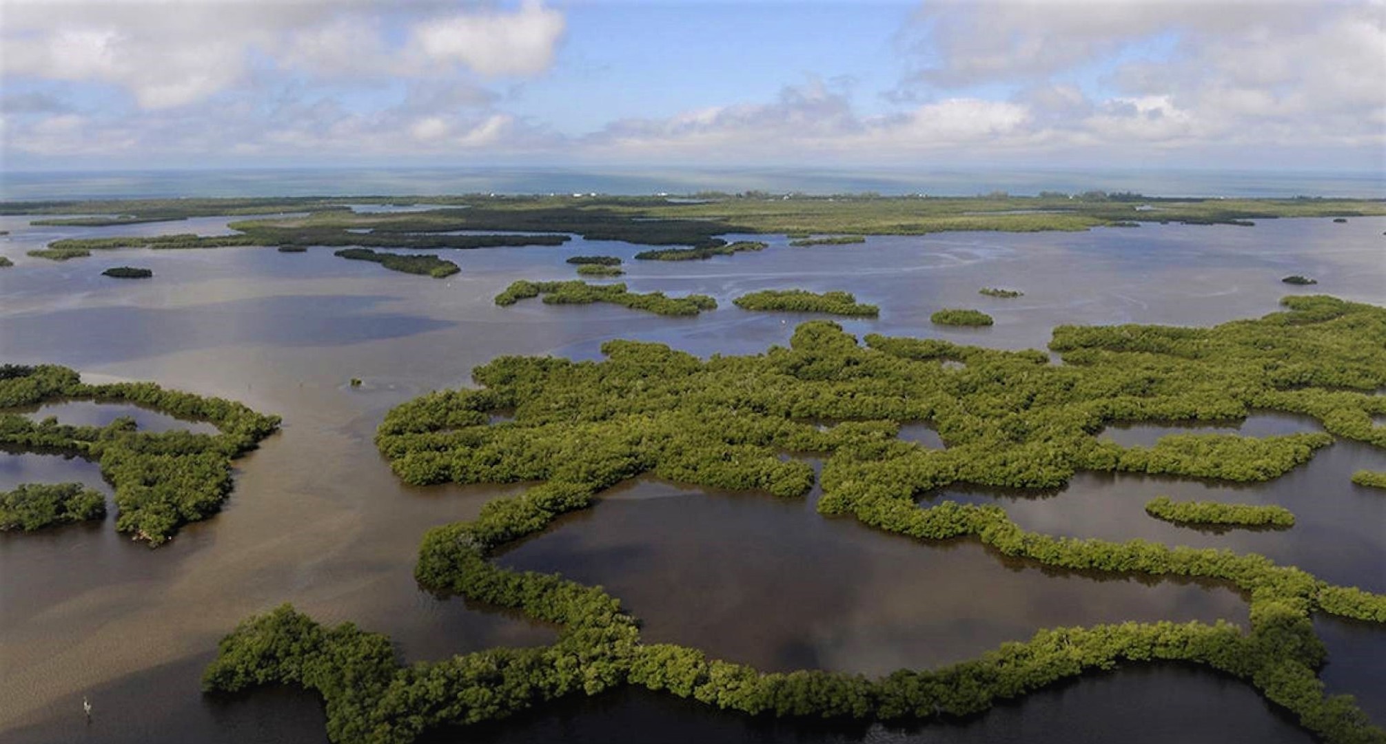 Aerial view of Rookery Bay