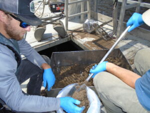 Field team members working with sediment to complete characterization in South Carolina.