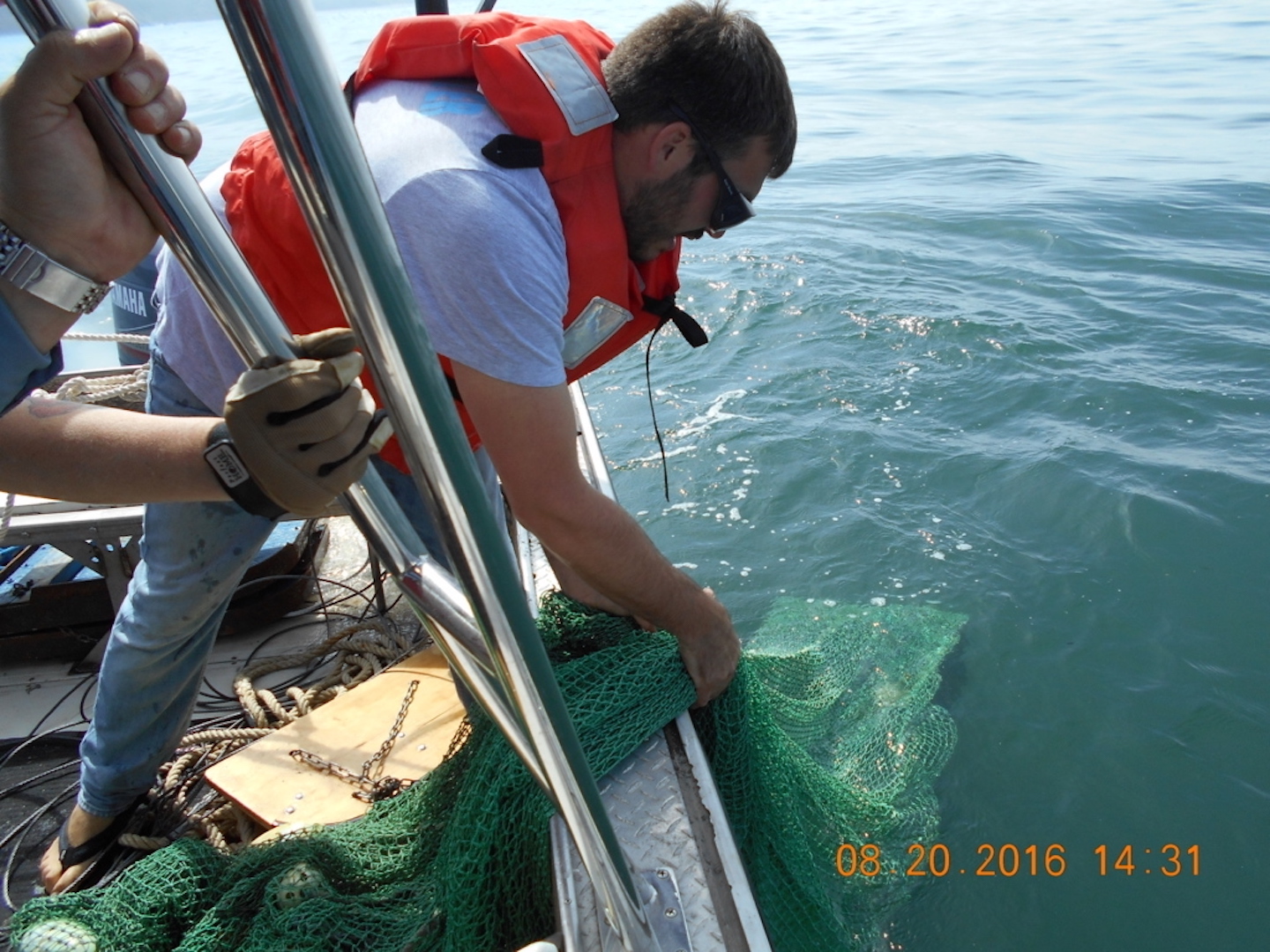 Field Crew retrieving Trawl net.