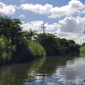 Field Work Location Left Side